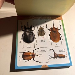 Beetle and Stag Beetle Japanese Stickers book 275 Stickers Shogakkan Neo