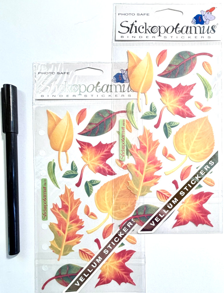 2 pkgs Fall Leaves Stickers Scrapbooking Card Journal Planner Sticko