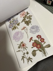 Recollections Floral Scrapbooking Stickers Set Multicolor