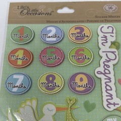 Pregnancy Mom To Be Baby Scrapbooking Stickers By Life’s Little Occasions Storm