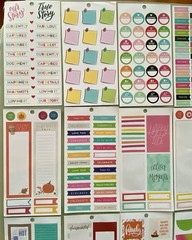 Lot Of 40 Sheets Happy Planner Complete & Incomplete! #3