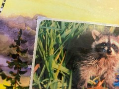 SmileMakers Raccoon Sticker Module 2×4 Inches