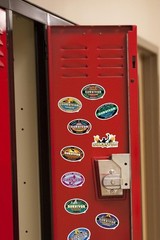 SURVIVOR VARIETY DIE CUT VINYL 50 CT STICKER PACK