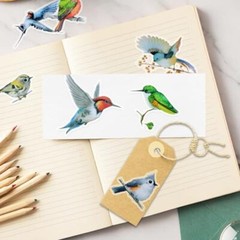 40Pcs Bird Stickers, Transparent Colorful Bird Stickers, PET Vintage Bird-40p