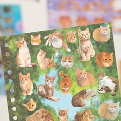 Cat Sticker Book with Meme Stickers 30 Pages Over 800 Die Cut Stickers with 3…