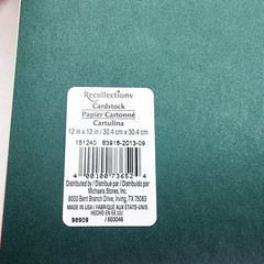 Michaels Scrapbook Paper Lot 12×12 Recollections Solid Color 50 Sheets e