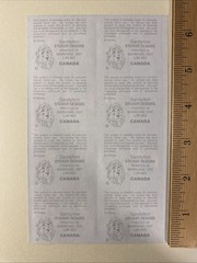 Pirates of the Caribbean Sticker Sheet Scrapbook Planner Craft Stickers