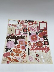 Scrapbooking Destash Lot My Minds Eye Echo Park Teresa Collins Stickers Rubons