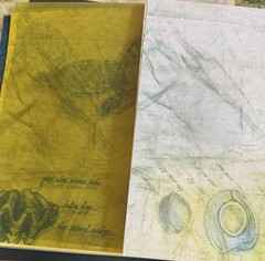 Scrapbooking Paper Nautical/Fishing/Tropical Theme Assortment of Textures