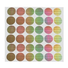 Original/Genuine Hologram Sticker 25mm Round Evident Stickers Silver -10 Sheet