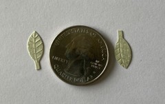 LIGHT GREEN BIRCH LEAF Die-cut Embellishment(20pc)Jolees •Garden•Christmas•Stem