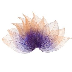 100-Pack Skeleton Leaves, Natural Rubber Leaves Vein[4-6cm, Purple Coffee]