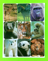 Vintage Eureka World Animal Photo Sticker Sheet Retired Zebras Lion Tiger Bears