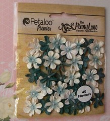 Mini Daisy Petite TEAL Mix – 40 Paper 20-22mm Pearl Centre Penny Lane Petaloo XC