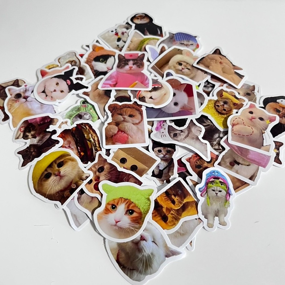 Cute Cat Sticker For packaging Random 2pc NEW from Japan 2枚セット　ステッカー　シール　かわいい