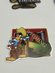 Vintage Looney Tunes USA States Lot of 15 Stickers Unused A&A Global Warner Bros