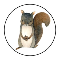 30 1.5″ WOODLAND SQUIRREL BIRTHDAY BABY SHOWER FAVOR LABELS ROUND STICKERS