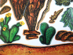 Not So Cute Desert Saguaro Cactus Sticker Sheet 12″ Rare 2000 Vintage Arizona