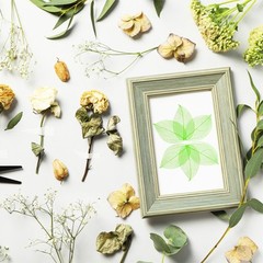 200-Pack Skeleton Leaves, Natural Rubber Leaves Vein[4-6cm, Green]