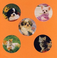 10 Baby Animals – Kittens and Puppies – Large Stickers – Party Favors