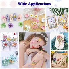 92 Pcs Purple Dried Pressed Flowers Real Natural Leave Petals for DIY Resin C…