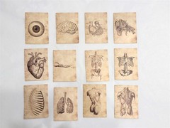 Victorian Trading 56 Human Anatomy Skeleton Sepia Planner Journal Stickers 30R