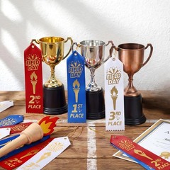 90 PCS Field Day Ribbons 1st 2nd 3rd Place 8×2 Inch Award Card String Set