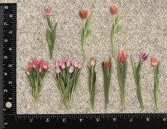 Lot of 10 Assorted Flowers Pink Purple Tulips Tulip Outdoor Stickers