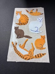 1 – 4″x3″ Strip of Fuzzy Cat Stickers from Sticker Magic