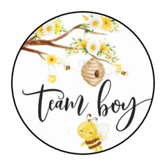 TEAM BOY TEAM GIRL BABY HONEY BEE GENDER REVEAL PARTY STICKERS 1.5″ ROUND (60)