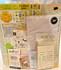 Scrapbooking Kits Spring Theme Stickers Papers Metal Accents Lettering Rub-Ons