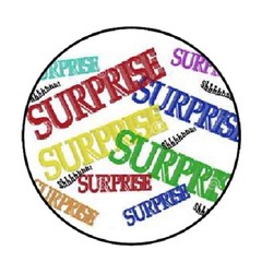 48 SURPRISE!!! ENVELOPE SEALS LABELS STICKERS 1.2″ ROUND