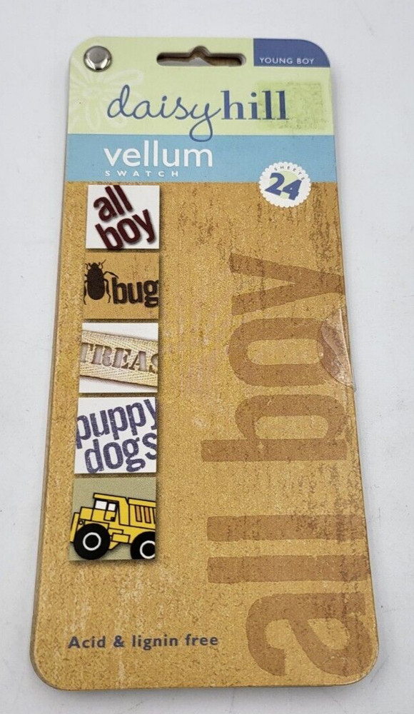 Daisy Hill Boy Vellum Quote Swatch 24 Pages – New