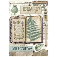 Stamperia Mini Rice Paper- Herbarium Silvae A6 , DFSA6X02