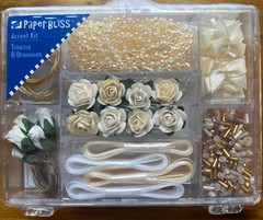 Paper Bliss Accent Kit Scrapbboking Card Making Crafting Showers Wedding New