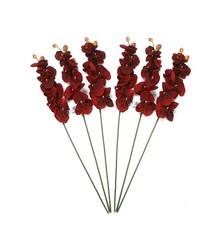 Hosley Artificail Flowers, 6 Pcs Orchid Phalaenopsis Touch Flowers 28Inch Lon…