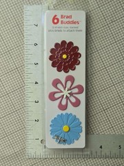 Hot Off The Press Citrus Creative Kit And Brad Buddies Assortment
