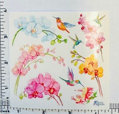 Violette Stickers Orchids & Hummingbirds Crafts Planner Supply Scrapbook