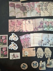 100 Pc Scrapbooking Supplies JJ Craft Kit Florabunda Theme Ephemera New Product