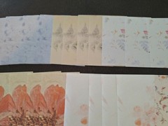 100pc 3 1/4 X 3 1/4 In. Quiet Words Among Flowers Scrapbook Papers Colorful