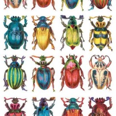 Violette Stickers – Beetles – 1 Colorful Bugs & Insects Sticker Sheet – Crafts