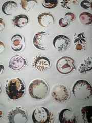 50 CNT Moon Phase Sticker Lot Witchy Celestial Cat Floral Mystical Collection