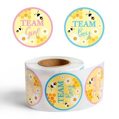 500Pcs Bumble Bee Gender Reveal Stickers Little Honey Bee Party Supplies Favo…