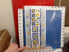 Sticker Roll of 27 sheets of pressed buttercups border flower 34v