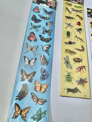 Vintage 90s Stickers Instructional Fair Sticker Lot Collection Insects