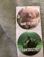 Teacher Kids Reward 1” Round Animal Stickers 4 Designs Brand New Lot of 100 #*