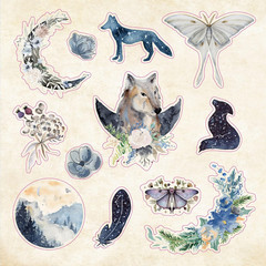 Celestial Wonders Sticker Book (Over 900 Stickers!) (Sticker Books)