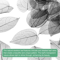 100-Pack Skeleton Leaves, Natural Rubber Tree Leaves Vein[7-9cm, Black]