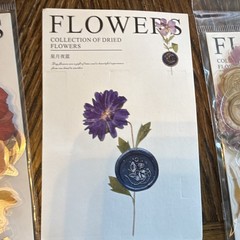 Dried Flowers Sticker Pack, Multicolor Flowers & Plants/Variety of Colors