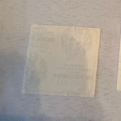 Vintage Rare Shiny Sticker Bear